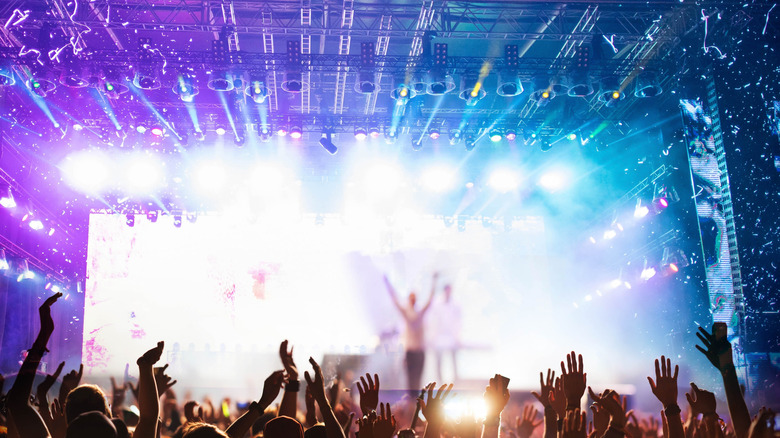 Crowd at a rock concert