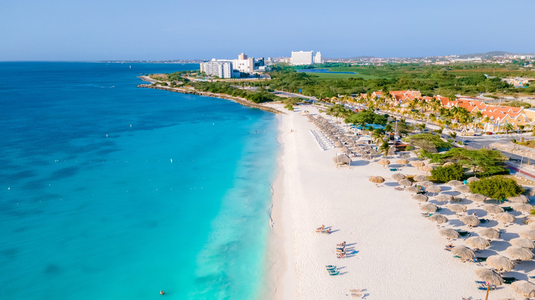 busy beach near vibrant ocean