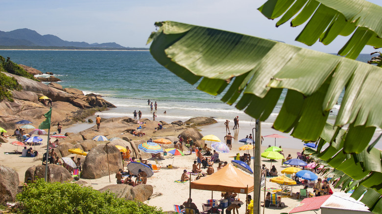 busy beach with umbrellas