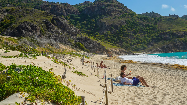 people lounging on beach