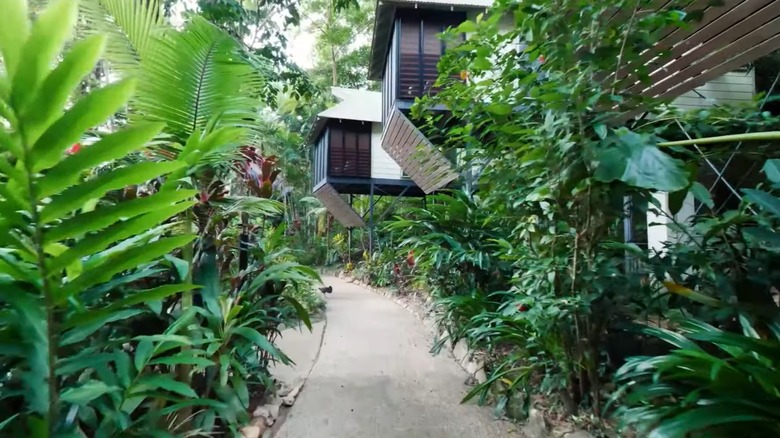 Treehouse at Daintree Ecolodge, Australia