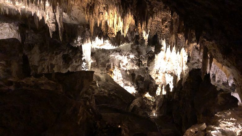 The Big Room at Carlsbad Caverns National Park.
