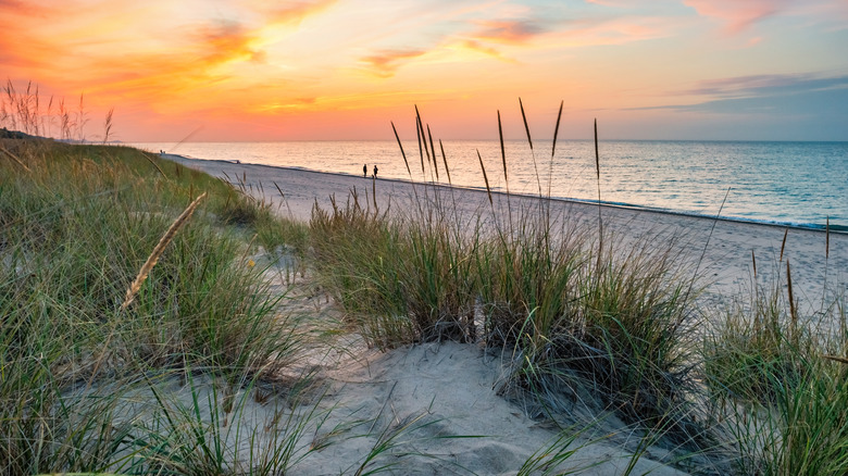 A sunrise at Kemil Beach in Indiana Dunes National Park.