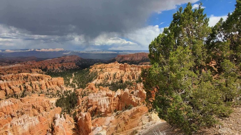 A view of Bryce Canyon from Inspiration Point in Bryce Canyon National Park.