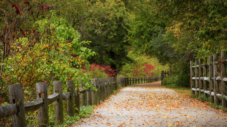 Fall on Blackstone River Bikeway