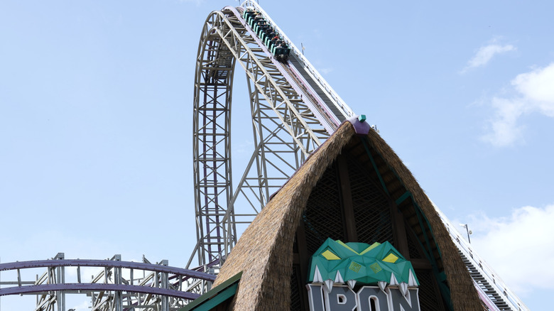 Iron Gwazi in Tampa Bay