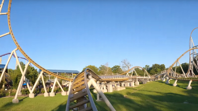 Riding Pantheon at Busch Gardens