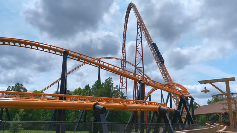 Pantherian at Kings Dominion, Virginia