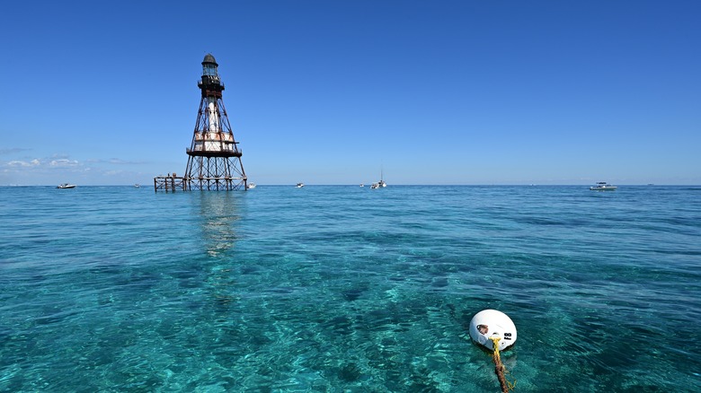 Waters of Biscayne National Park