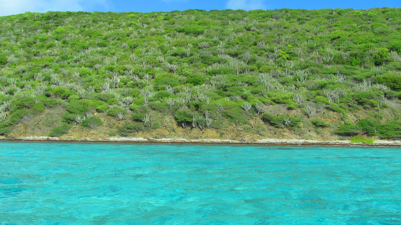 Waters of Buck Island monument