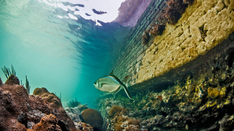 Dry Tortugas National Park wall