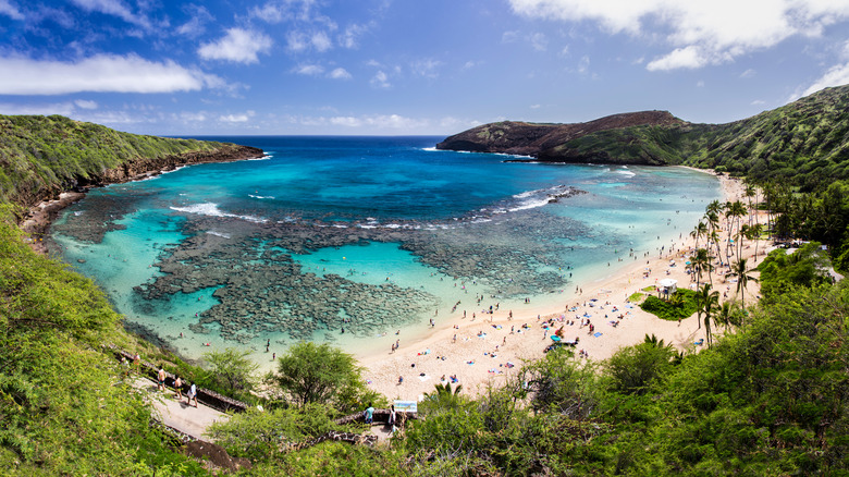 Oahu's Hanauma Bay Nature Preserve