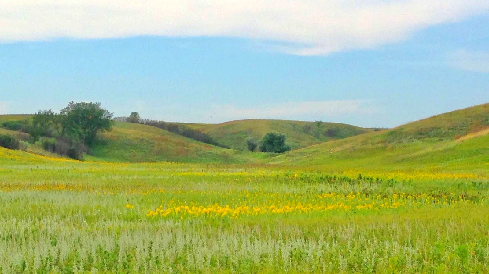2 Hours From Fargo Is North Dakota's Scenic Escape With Lake Views And Unique Wildlife