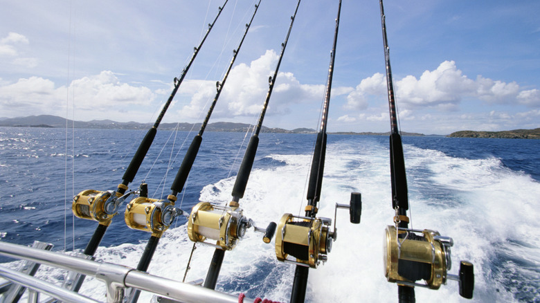Five fishing rods stick out from the back of a boat