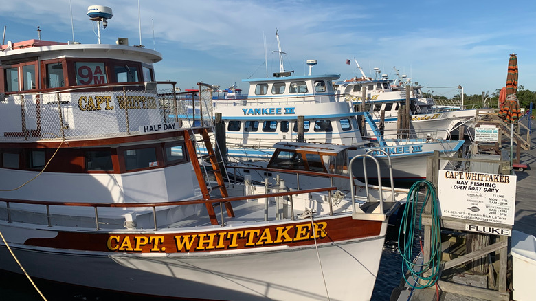 A line of charter boats sit tied to a pier