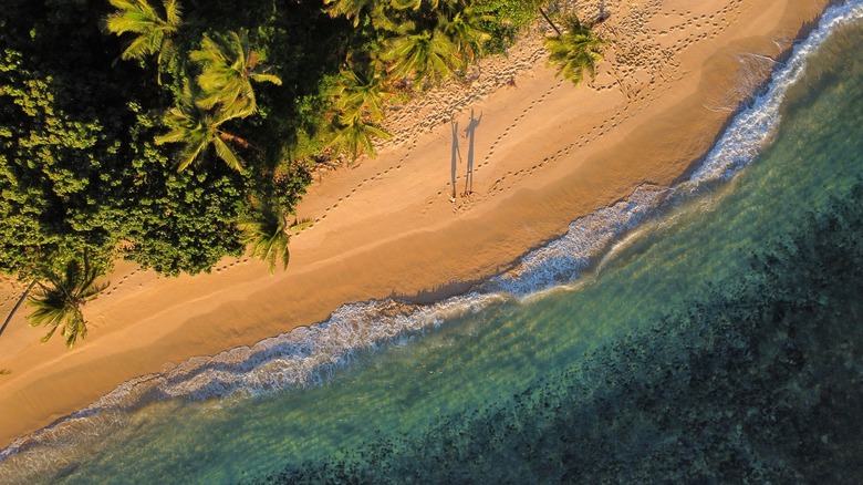 A beach in Fiji