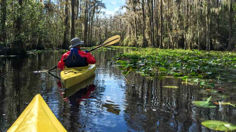 A couple kayak down the Okefenokee Swamp