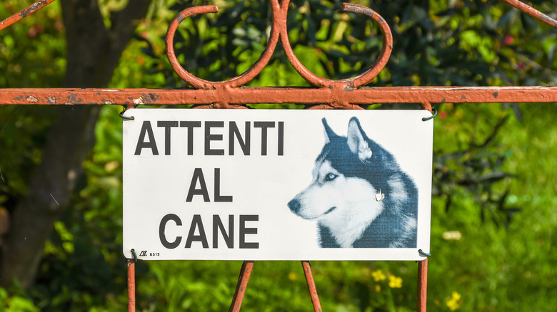 Italian "beware of dog" sign