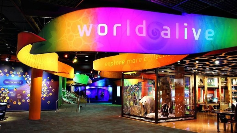 Brightly colored science exhibits showing off animals at Discovery Place Science Museum in Charlotte, North Carolina