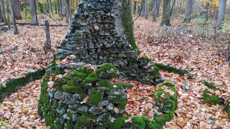 Part of an old structure at Rose Island Amusement Park in Charlestown, Indiana