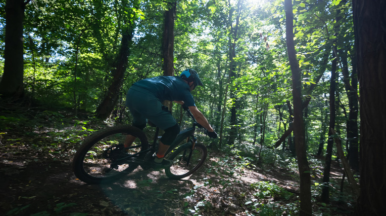 A MTB rider descends a rugged trail through the forest