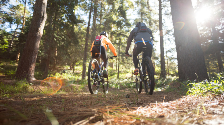 Two mountain bikers roll down a nettle-covered trail in the woods