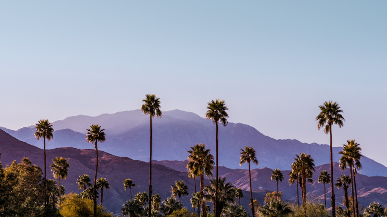 Mountain landscape in Palm Springs