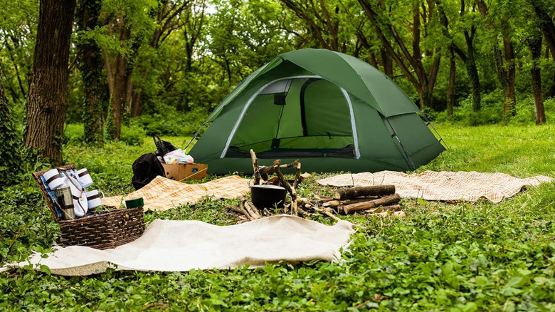 Vela Camping Tent in the woods next to a picnic blanket and picnic basket