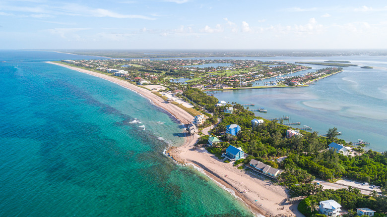 aerial view of water on both sides of a peninsula with sand and trees