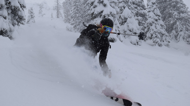 Skier going downhill at Bridger Bowl in Montana