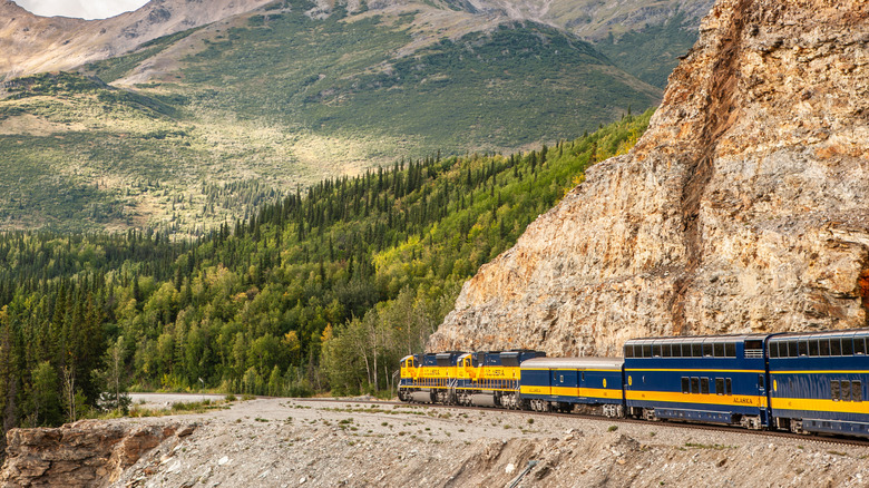 The Denali Star Alaska Railroads flagship train traveling through a forested valley while on its way from Fairbanks to Denali National Park