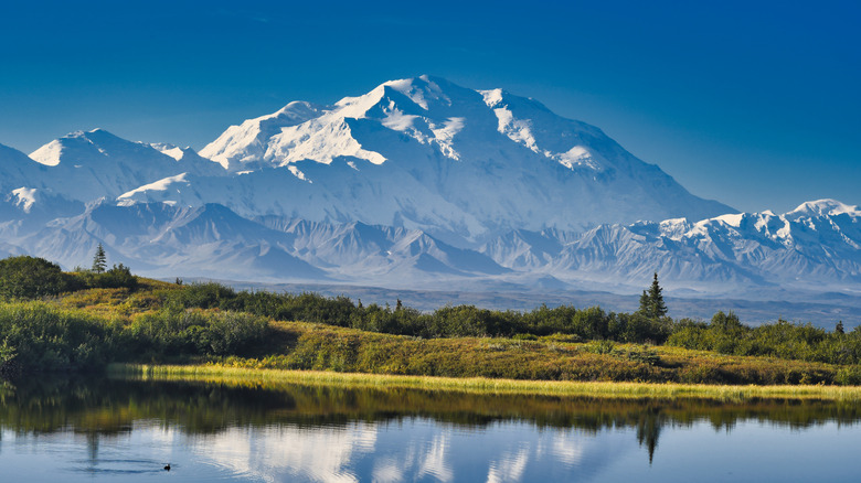 Denali mountain as seen from Reflection Pond in Denali National Park, Alaska