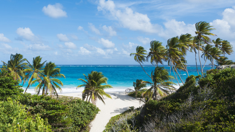 Palm trees and hills ringing a white beach and the blue sea in Barbados