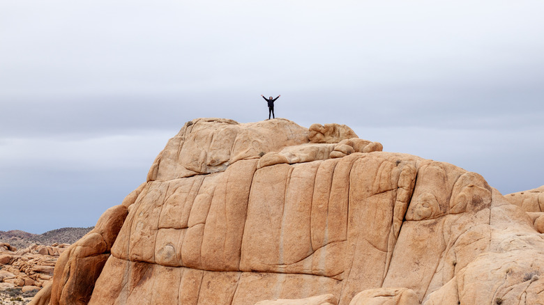 Hiker on top of large rock formation in Joshua Tree National Park, California