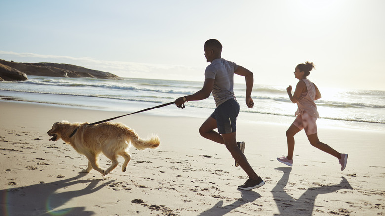 Man and woman running on a California with a golden retriever on a leash