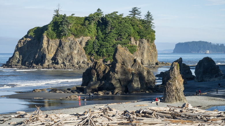 Sea stacks on Kalaloch Beaches in Washington state on a sunny day