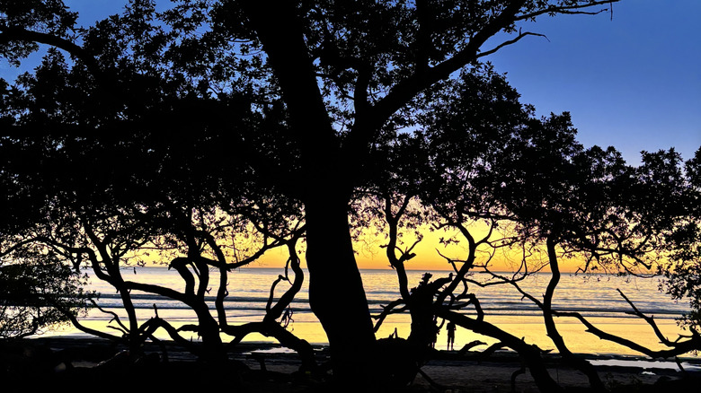 One of the many magical sunsets at Playa Avellanas, Costa Rica