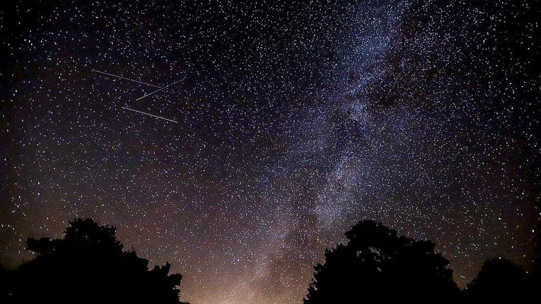 Starry night sky at Doughton Park