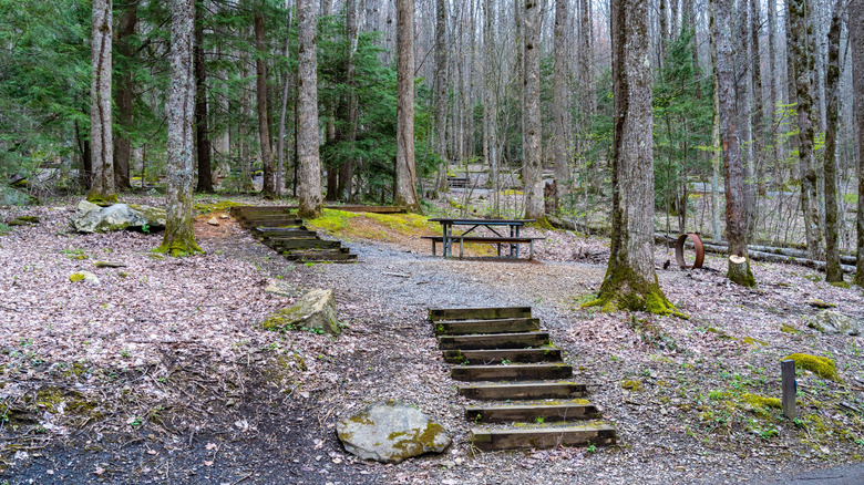 Steps lead to picnic areas at the Cosby Campground in the Smokies