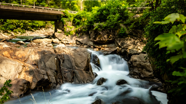 The Little River runs over rocks in the Elkmont Campground