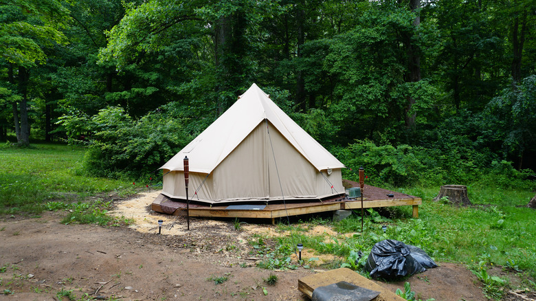 A tent in a forest in the Great Smoky Mountains