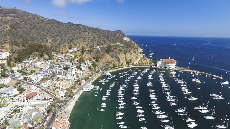 Avalon Harbor and the Catalina Casino, Catalina Island, California