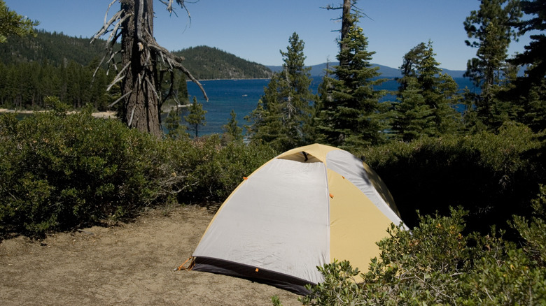 Tent sits between bushes on lakeshore in California
