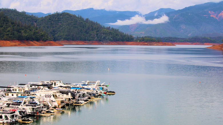 Houseboats line waters of Lake Shasta