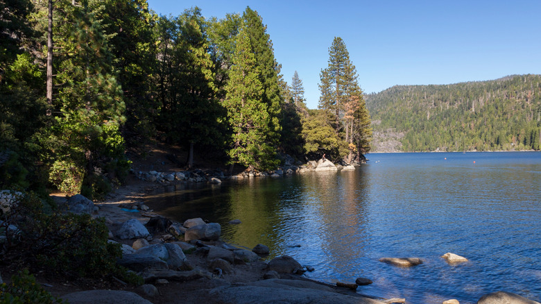 Swimming cove on banks of Pinecrest Lake