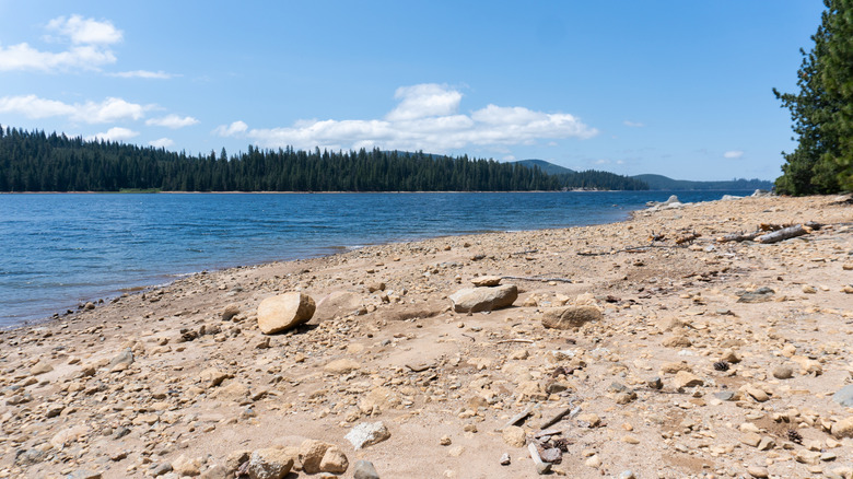 Pebbly beach on Union Valley Reservoir of California