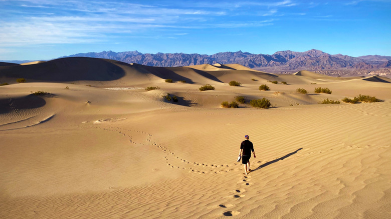 Hiking through the Mesquite Flat Sand Dunes in Death Valley National Park