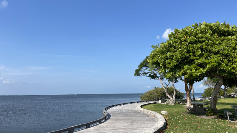 A path along the water edge in Florida's Biscayne National Park