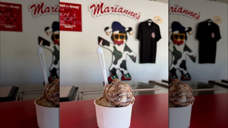 A cup of ice cream at Marianne's Ice Cream in Santa Cruz