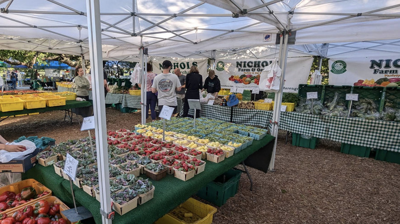 Market day at the Green City Farmers Market in Lincoln Park